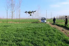 春耕进行时：农村小伙花5万买无人机打药，一亩地才13还包含农药视频封面