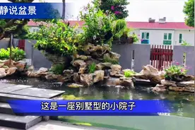 别墅型院子好精致，这户人家把院子装扮成假山鱼池，意境美环境美视频封面