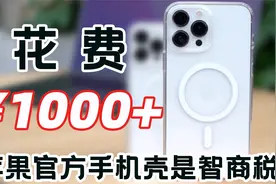 399元的「清水壳」物有所值？iPhone原装壳避坑指南视频封面