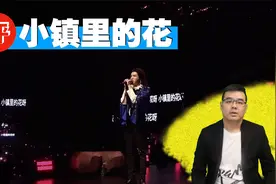 尤静波教授评：华晨宇《小镇里的花》视频封面