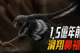 1.5亿年前滑翔鼻祖，体长仅1.2米，敢单挑大自己三倍的敌人视频封面