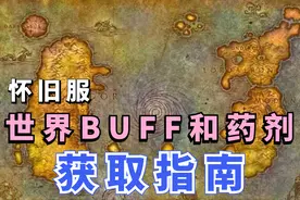 【魔兽世界怀旧服】世界BUFF团本DPS药剂提升指南（盗贼狂暴战）视频封面