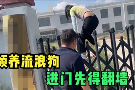 领养一只流浪狗需要什么手续？妹子跑到留检所，告诉我资格不够！视频封面
