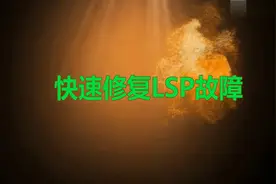 LSP故障修复