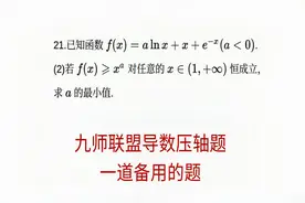高三数学，九师联盟理科数学导数压轴题，构建相同的数据模型视频封面