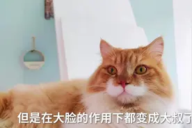 橘猫从小到大的变化太大啦，主人直呼要被吃穷了！粉丝：大橘为重视频封面