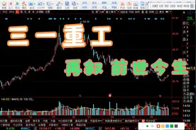 再续前缘 三一重工 的前世今生视频封面