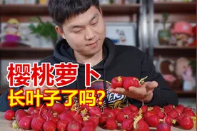樱桃小萝卜真的好吃吗？18.8买了5斤，开箱一看居然长叶子了！视频封面