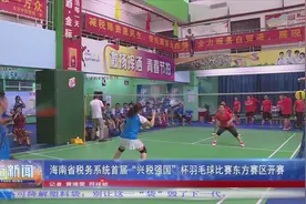 海南省税务系统首届"兴税强国"杯羽毛球比赛东方赛区开赛视频封面