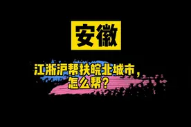 江浙沪一对一帮扶皖北城市，怎么帮？视频封面