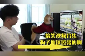 搞笑：小姐姐走路的时候一定要小心，你看鞋子都打湿了是不是难受视频封面