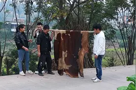 朋友600买一张牛皮来，结果还没吃就跑了，红烧牛皮香辣入味