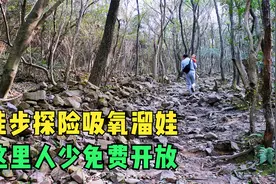 无锡最大户外郊游地来了！实探太湖郊野公园，丛林密布真的很野！视频封面