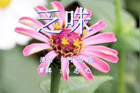 《乏味》人生如一支歌 应该多一些昂杨的旋律 少些忧伤乏味的音符