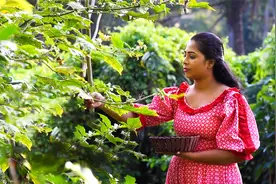 斯里兰卡米粉，一味难寻的地道美食，你吃过吗