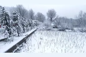 河南2020年的第一场雪，配上这个音乐太美了，你家下雪了吗？