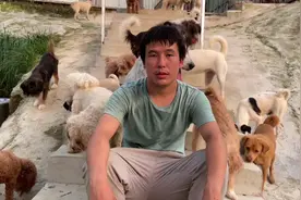 医生上门给新救回来的狗狗打疫苗，狗狗害怕医生都躲起来了。视频封面