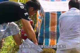 农民发现自家麦田被毁，买来无人机拍到真相，庆幸自己没进去视频封面