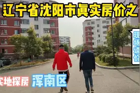 辽宁省沈阳市真实房价之浑南区2，实地探房以买房者身份现场谈价视频封面