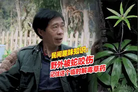 这是一条关键时候能救你的知识：野外被蛇咬，记住这个解毒草药。视频封面