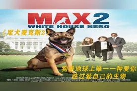 狗狗永远是我们好朋友，它爱你胜过爱它自己。视频封面