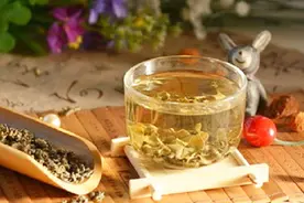 罗布麻茶有哪些功效视频封面