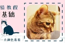 彩铅画猫咪，十分钟看完，十分钟就能学会画猫咪【学浪计划】视频封面