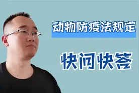 新动物防疫法开始施行，这3个规定和知识点，养狗的主人需要知道视频封面