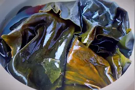 吃不完的海带别凉拌，教你个新吃法，简单一做，比吃大鱼大肉还香