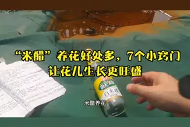 米醋养花好处多，7个小窍门，让花儿生长更旺盛视频封面