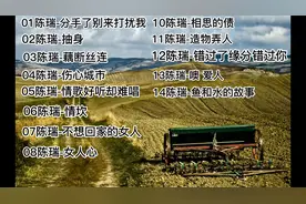 陈瑞无损歌曲好歌联唱经典歌曲串烧60分钟歌曲联唱