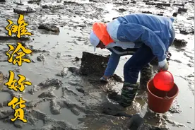 滩涂藏着美味海货，专吃海蛎肉质鲜美，配上大青蟹红烧味道绝了视频封面