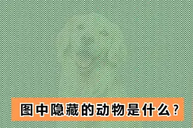 10个有趣的视力测试题目，虽然简单，可只有少数人能全看出？视频封面