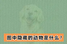 10个有趣的视力测试题目，虽然简单，可只有少数人能全看出？视频封面