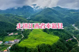 走进江西省奉新县视频封面