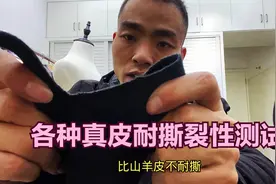 羊皮、牛皮、鹿皮哪种最耐穿，现场实测各种真皮皮料的耐撕性