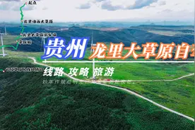 自驾贵州龙里大草原景观路，千亩草场百亩花海，美景堪比油画！视频封面