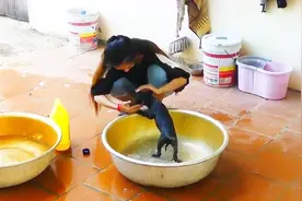 性感表姐的狗狗，细心地给它洗澡，画面好有爱！