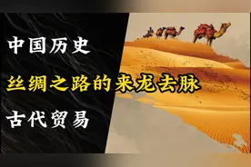 对于丝绸之路你了解多少？它交易过哪些货物？怎么形成的？#历史视频封面