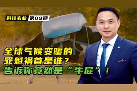 全球气候变暖的罪魁祸首，竟然是“牛屁”！
