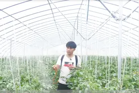 这才是"磷酸二氢钾"的正确使用方法，以前都用错了，学到就是赚到视频封面