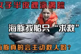女子半夜裸泳遇险，海豚找船只“求救”！海豚真的会主动救人吗？视频封面