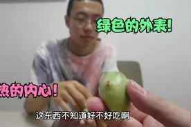 仙人掌的果实也能吃？带你揭秘各种奇特的食物，仙人掌到底是啥味视频封面