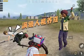 满级人机养成视频封面