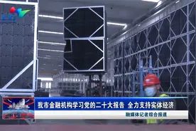 潍坊市金融机构学习党的二十大报告 全力支持实体经济视频封面