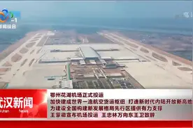 鄂州花湖机场正式投运 王蒙徽宣布机场投运 王忠林致辞视频封面