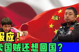 报应！张本智和父亲要带儿子回国打球，刘国梁回应直接不要！视频封面
