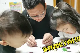 夫妻俩一块钱在学校门口买的盒子，剥出俩蜜蜂，四口人激动坏了视频封面