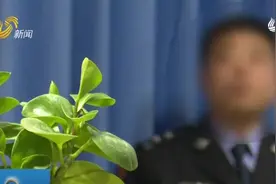 盗窃抢劫、卖淫嫖娼！贩毒团伙被青州警方抓获，涉案金额900多万视频封面