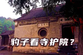 涉县云登寺常有豹子出没，却并不伤人，这是为什么？视频封面